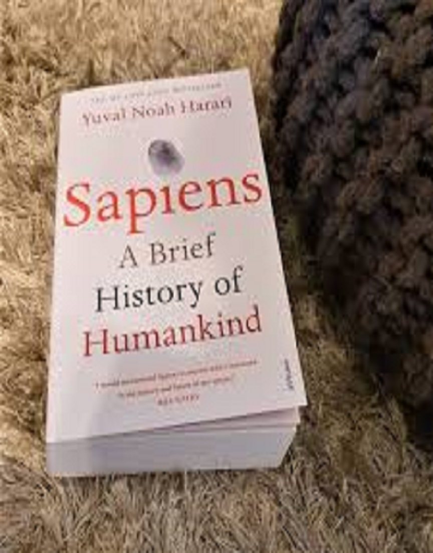 sub image for Sapiens: A Brief History of Humankind